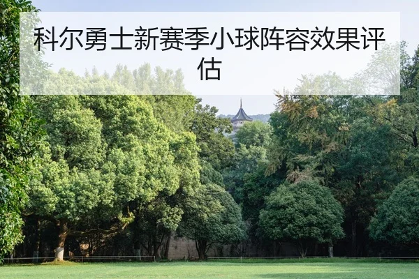 科尔勇士新赛季小球阵容效果评估